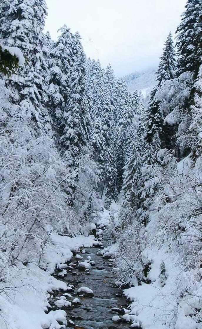 Описание изображения